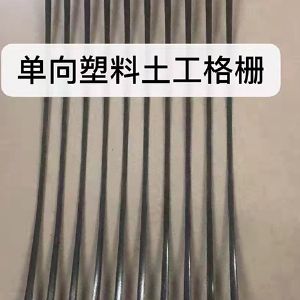 单向塑料土工格栅