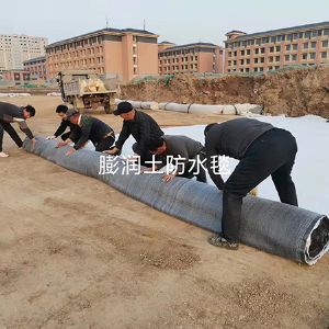 膨润土防水毯