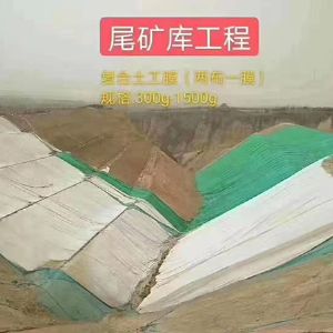尾矿库工程